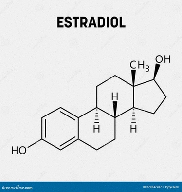 estradiol genérico
