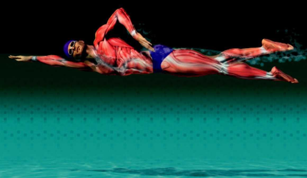 grupos musculares durante la natación