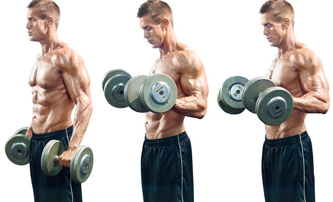 entrenamiento de bíceps