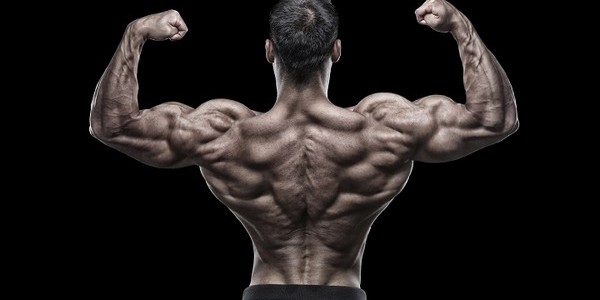 fortalecimiento de los músculos de la espalda